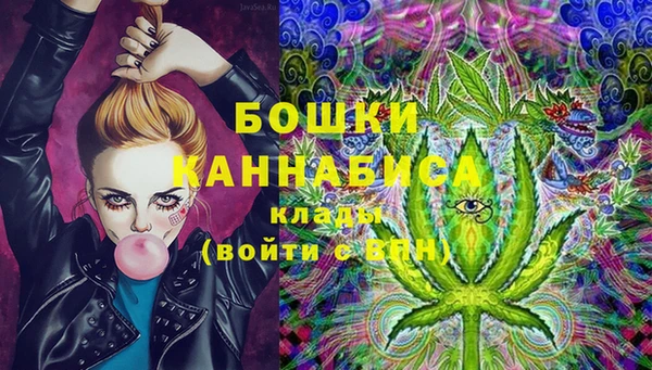 тгк Няндома