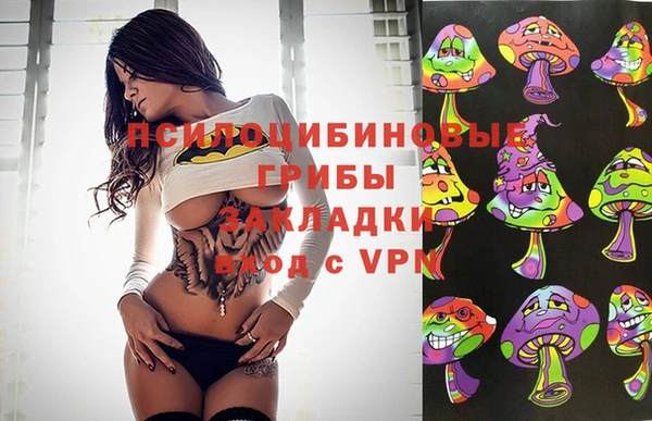 тгк Няндома