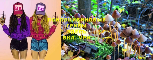 тгк Няндома