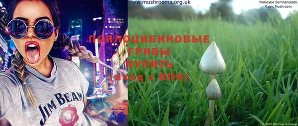 тгк Няндома